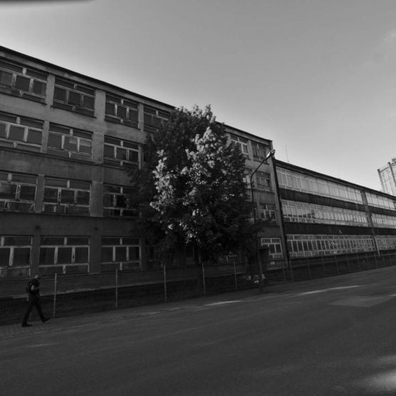 DSC04212